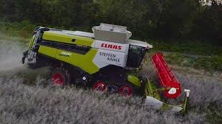 Claas 7500 Lexion unter schweren Bedingungen im Raps 🫣