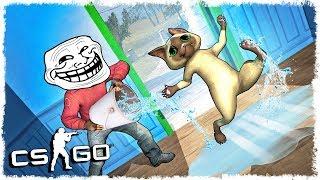 МЕДВЕДЬ ТРОЛЛЬ vs КОТ МАНЬЯК В CS:GO!!!