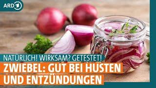 Zwiebel: Hausmittel gegen Husten, Entzündungen und mehr | NATÜRLICH! WIRKSAM? GETESTET! | ARD GESUND