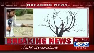 Multan: Park And Horticulture Authority Ki Naqis Karkardagi | Rohi