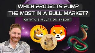 Which projects pump the most during a bull market?