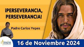 Evangelio De Hoy Sábado 16 de Noviembre 2024 #PadreCarlosYepes l San Lucas 18,1-8