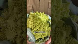 Was Romanesco Broccoli designed by God?