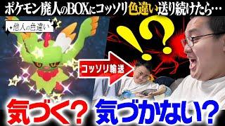 【検証】ポケモン廃人のBOXにコッソリ色違いポケモン送り続けたらいつ気づくのか！？