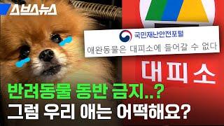 반려동물 재난 관리사가 알려주는 반려동물 가족을 위한 재난 대비 가이드라인 / 스브스뉴스