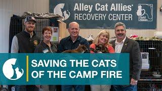 The Alley Cat Allies Recovery Center®: Saving Camp Fire Cats