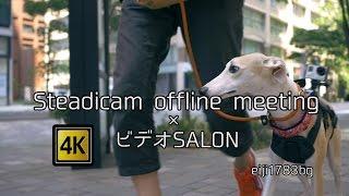 Steadicam offline meeting × VideoSALON