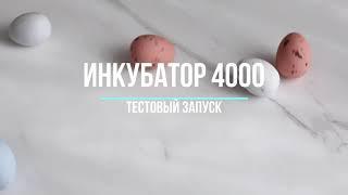 Инкубатор фермерский МИКРОЭЛ ИФ-4000-У-МЭЛ на 4000 яиц Универсальный