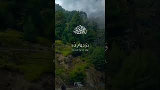 Beautiful Recitation ️ #quran