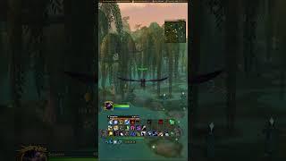 Carp Diem – 29906 – WoW Retail Walkthrough