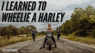 Bikerbiddie learns to wheelie a Harley.... Just.