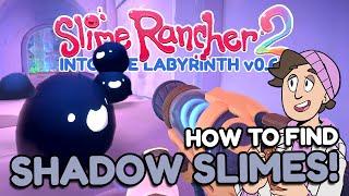 HOW TO FIND AND CATCH SHADOW SLIME PLORTS LIKE A PRO! EXPLORING THE LABYRINTH!!! - Slime Rancher 2