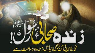 Incredible Miracle of Allah: Sahabi Zinda 1400 Saal Baad! | Islamic Story by Noor Islamic