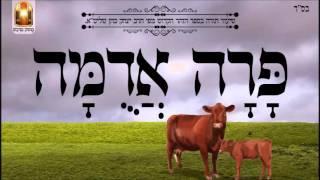 פרה אדומה - שיעור תורה בספר הזהר הקדוש מפי הרב יצחק כהן שליט"א