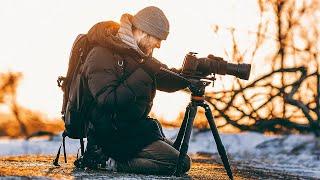 How To Film Nature & Wildlife | Behind The Scenes