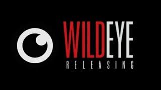 Wild Eye Wednesday "Asylum of Darkness" Review