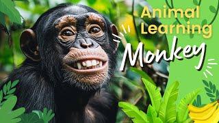 Learning Monkey In The Wild  | All About Monkeys  | Monkeys For Kids  | Monkey Fun Facts 