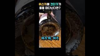 이거 상한 거 아냐?