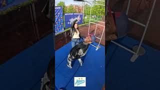 Видеоспиннер 360 FLY.  Прокат от 1 часа!! #видеоспиннер360 #свадьба