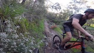 Mountain Bike ride in Mullum Mullum Park on the Eastlink Trail