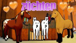 wir züchten  LEGACY FOHLEN  in Wild Horse Islands  Roblox