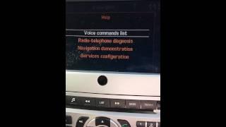 Peugeot 407 RT4 hidden menu fail