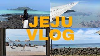 [JEJU VLOG] 5박6일 제주도 혼자 여행 브이로그 (플레이스캠프/라마다제주/1미리게스트하우스/김창열미술관/마틸다/명진전복/숙성도/별돈별/디파트먼트제주/호텔샌드/도렐커피)