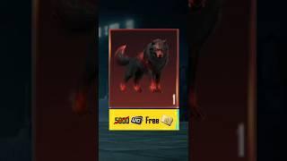 FREE Inferno  Wolf Buddy