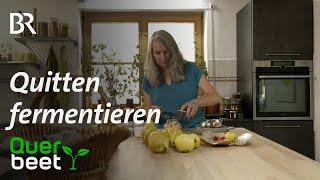 Rezept Quitten-Chutney – Obst haltbar machen