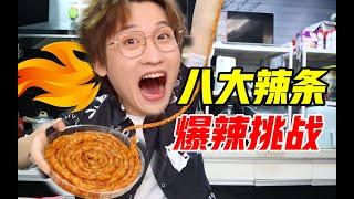 最辣竟是TA？全网八大爆辣辣条挑战！【网不红萌叔Joey】