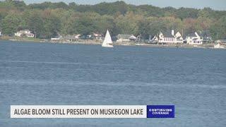 Climate may be to blame for persistent blue-green algae bloom on Muskegon Lake