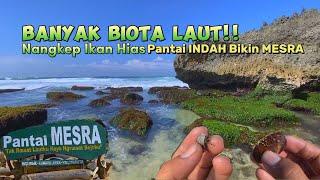 PANTAI MESRA Gunung Kidul Pantai Terindah di Jogja