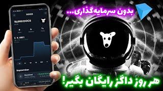 کسب داگز رایگان بدون سرمایه‌گذاری! | کسب ارز دیجیتال رایگان | کسب درامد دلاری واقعی