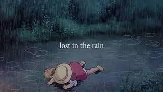 Roderick Porter - lost in the rain