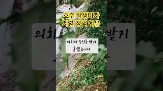 호주 학생비자 지연 정책 -12월 19일 부터 시행