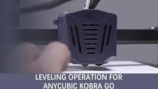 Leveling Operation for Anycubic Kobra Go