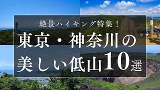 絶景ハイキング特集！東京・神奈川の美しい低山10選を巡る旅