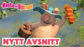 Masha och Björnen ️ Nytt avsnitt ️  Förbärligt busig 