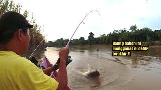 Ganas Tarikannya.!! Ikan Baung Babon Mengganas Di Detik² Terakhir