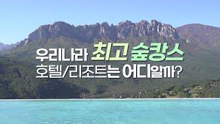 국내 숲캉스, 산캉스 1등 호텔 리조트는 어디? 힐링에는 무조건 여기!