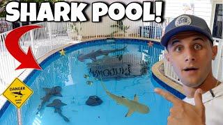 I Found A SWIMMING POOL With SHARKS!!
