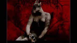 The Best of RABM (Red & Anarchist Black Metal): 1997-2009 Timeline