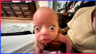 Best FUNNY Videos of 2025  | Try Not To Laugh Impossible #27