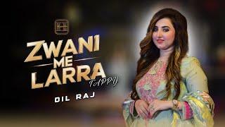 Zwani Me Larra Tappy | Dilraj | Pashto New Song 2024 | HUNAR TV SEASON 2