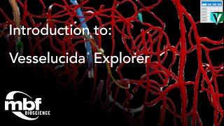 Introduction to Vesselucida Explorer
