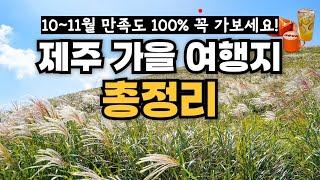 10월, 11월 국내 가을 여행지 여기가 최고 제주도 억새 명소 베스트5  (산굼부리, 새별오름, 어음리, 닭머르해안, 유채꽃프라자 )