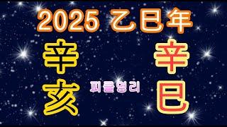 2025년 을사년 새해운세 신해일주 신사일주 - 피클명리