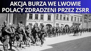 Przed Powstaniem Warszawskim Polacy zdobyli Lwów. Sowieci zdradzili Armię Krajową.