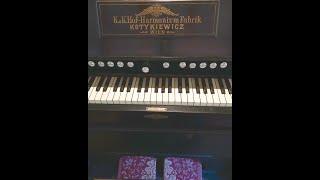 1906 Polish harmonium music played by Artis Wodehouse