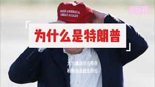 为什么是特朗普  在2024年的大选中，红脖子共和党又一次大胜民主党